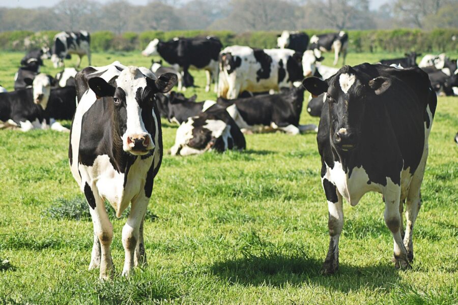 Aprobada la reducción de los índices de rendimiento neto aplicables a las actividades agrícolas y ganaderas por circunstancias excepcionales para 2024
